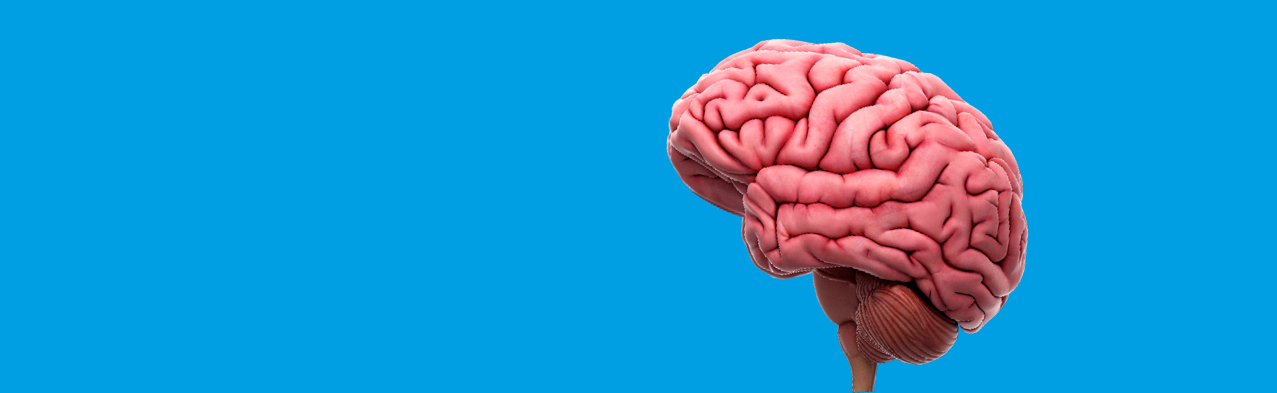 Imagen destacada Ataque cerebrovascular: la segunda causa de muerte y principal causa de discapacidad en Colombia